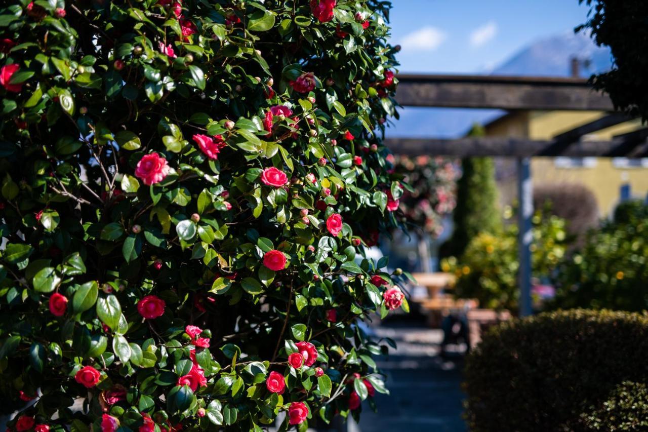 Hotel Mulino Ascona Buitenkant foto